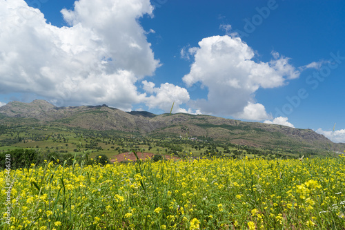 Summer Mountain Plateau Highland with Giresun - Turkey - Black S