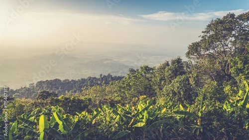 Obraz górski krajobraz z bujną roślinnością