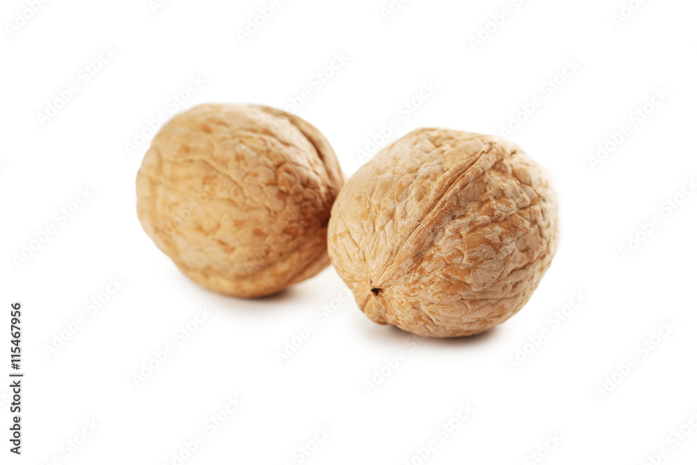 Walnut isolated on a white background Walnut isolated on a white background