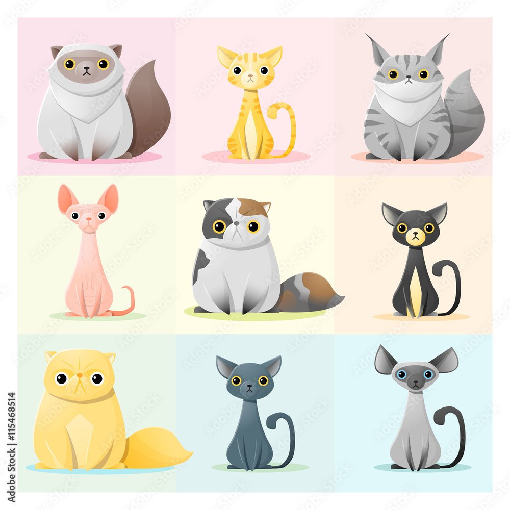Plakát Set of cat family , vector , illustration – Obraz na Zeď