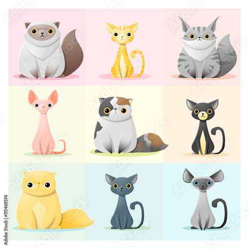 Set of cat family , vector , illustration
