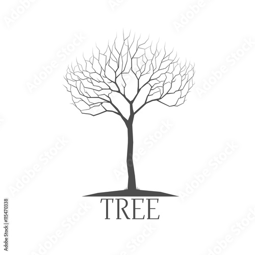 Tree vector silhouette  on white background, tree logo or emblem