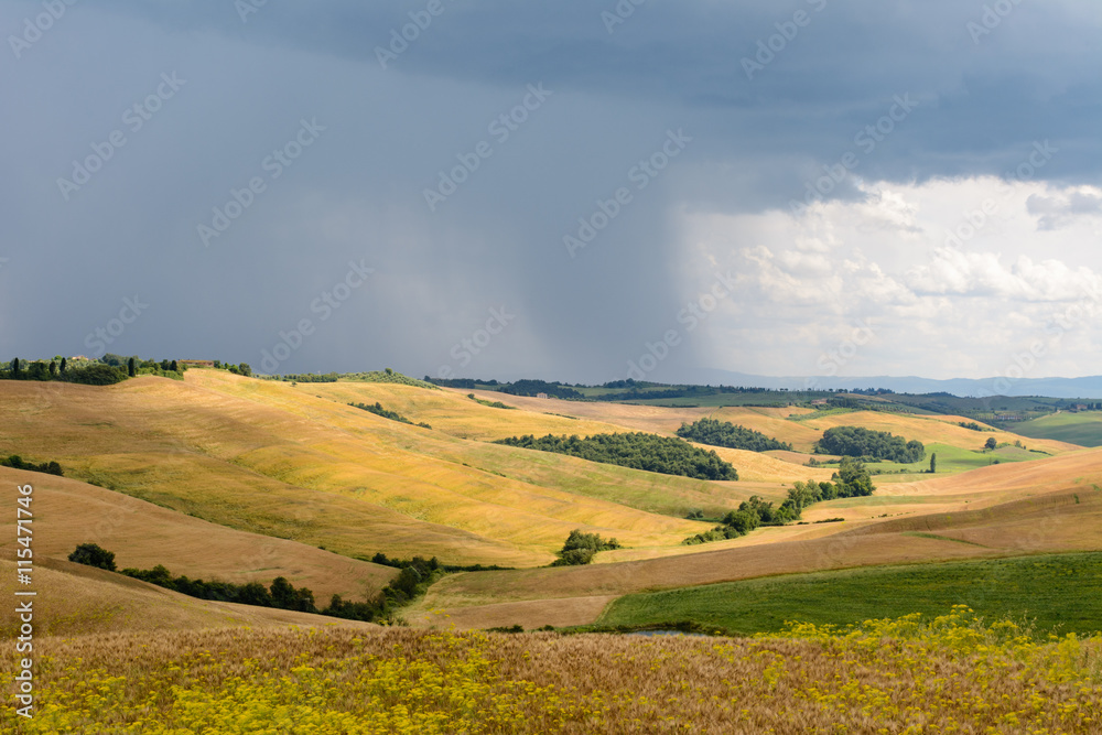 Obraz premium Light and shadow with hills and trees during a rainy day