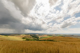 Light and shadow with hills and trees during a rainy day