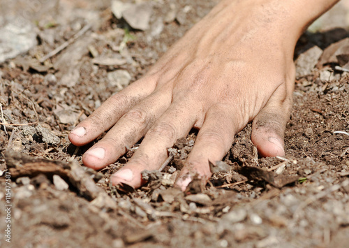 Hand touching the nourishing soil of the forest. 