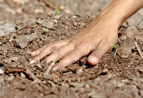 Hand touching the nourishing soil of the forest. 