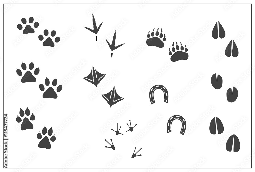 Wild animal footprint icon. Vector domestic bird step simple flat print  set: cat paw, dog, bear, chicken feet, duck, horseshoe, deer hoofs,  antelope, sheep, giraffe, goat, cow, llama, frog. Isolated Stock Vector |