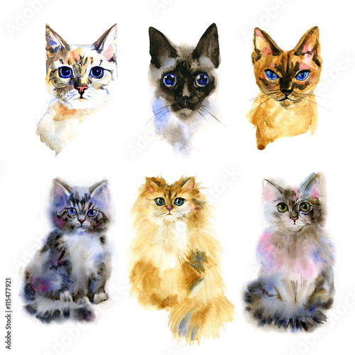 Fototapeta Naklejka Na Ścianę i Meble -  Set of watercolor Isolated hand drawn cats
