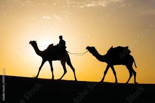 Rajasthan travel background - camel silhouette in dunes of Thar desert on sunset. Jaisalmer, Rajasthan, India
