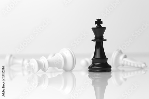 Checkmate - Black wins White loses, and other pieces
