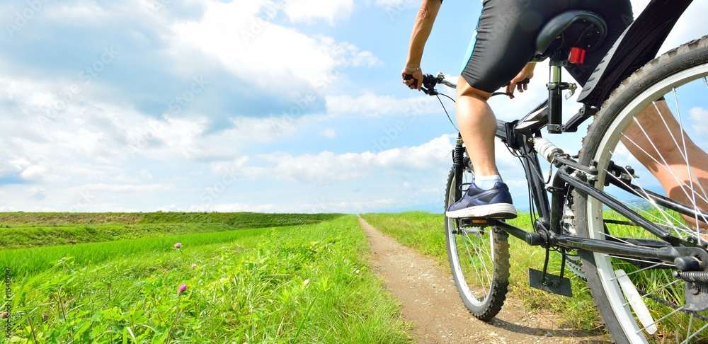 Obraz premium 青空と田園の風景をマウンテンバイクで走る