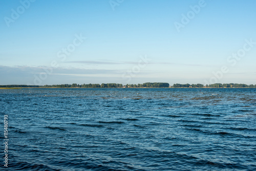 Summer rushy lake
