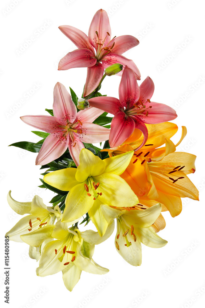 Fototapeta premium Top view of lily flowers
