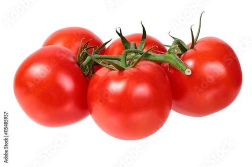 bright colorful tomatoes on the gnarled branches. isolated on white background without shadows.