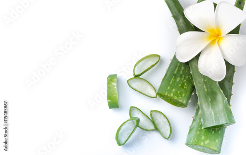 Aloe Vera sliced isolated