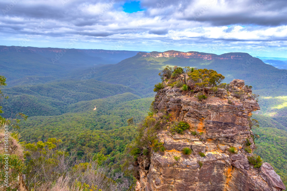 Naklejka premium Blue mountains national park, Australia