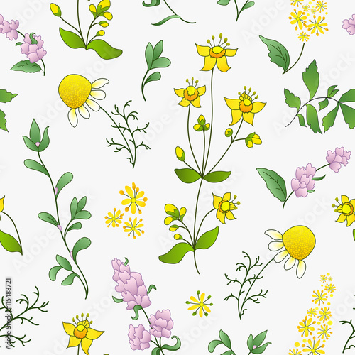 Seamless pattern of officinal herbs photo