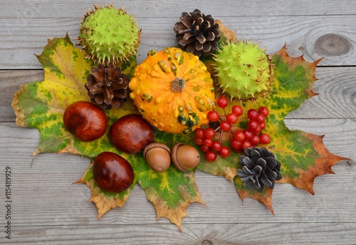 Autumn leaves, autumn fruits and autumn berry on wood background. 