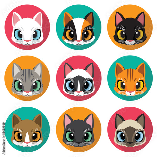 Cute cats collection
