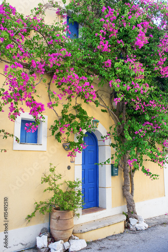 Street in Assos, Kefalonia, Ionian Islands, Greece © steevy84