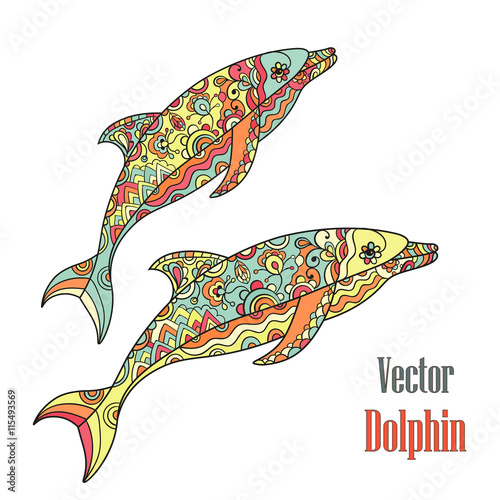 Dolphins couple. Vector.