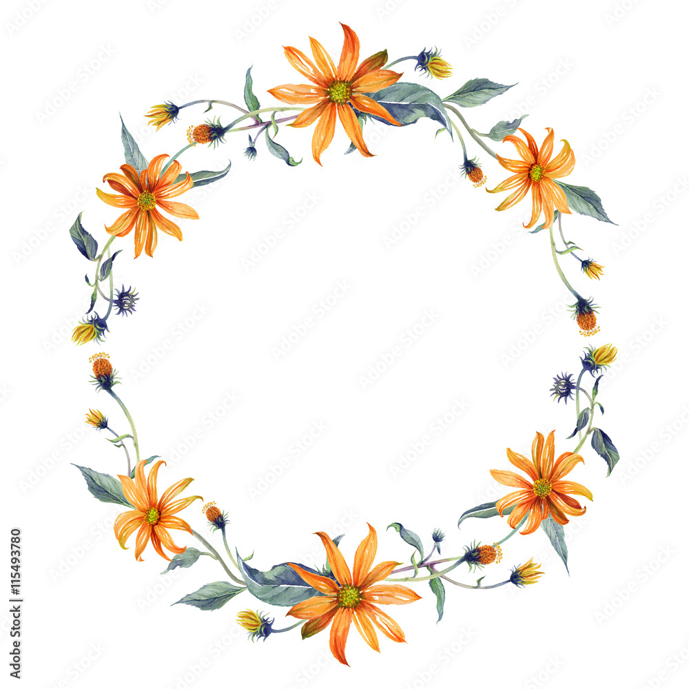 Watercolor wreath or garland. Orange daisies with green leaves on white background. Can be used as invitation or greeting card, print, your banner.