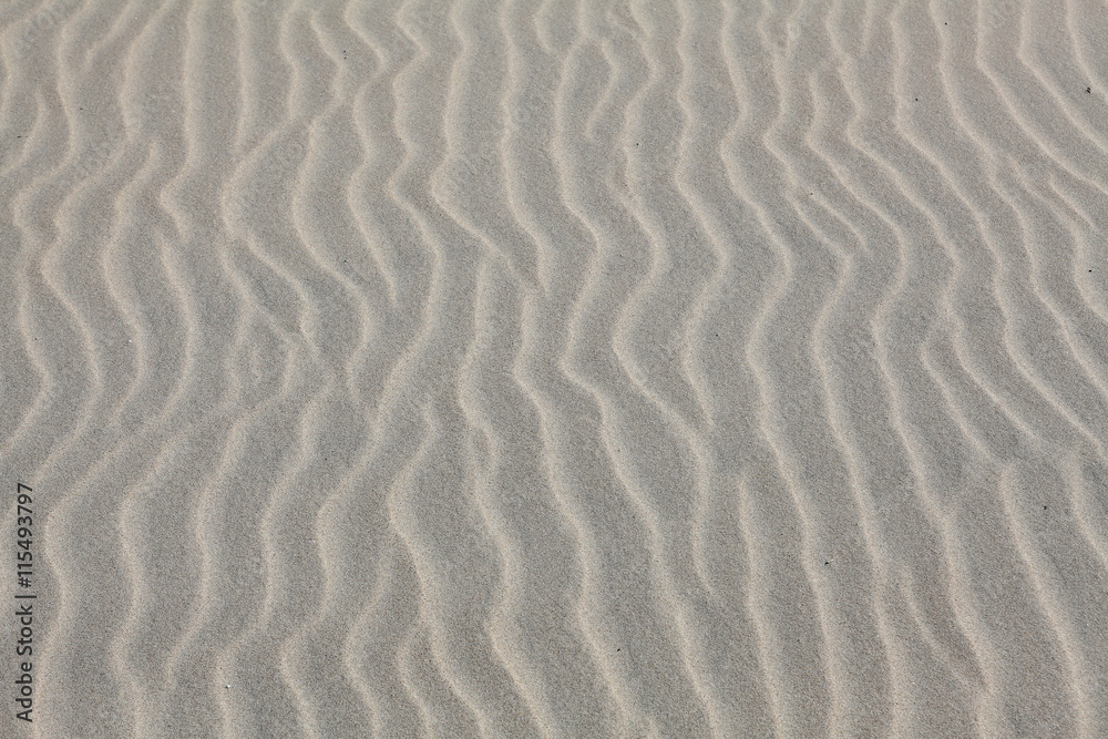 sand texture for background from Baltic sea. sand texture for background from Baltic sea.