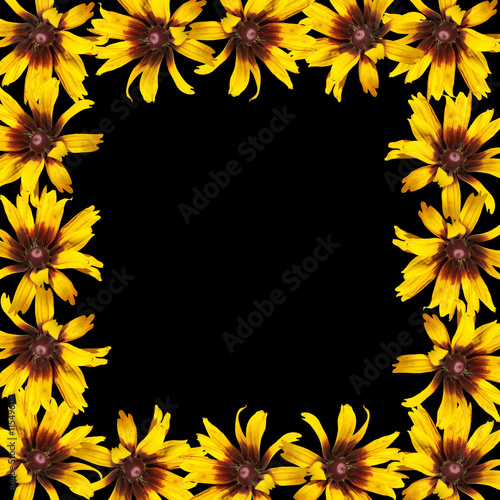 Delicate floral background of flowers yellow rudbeckia 