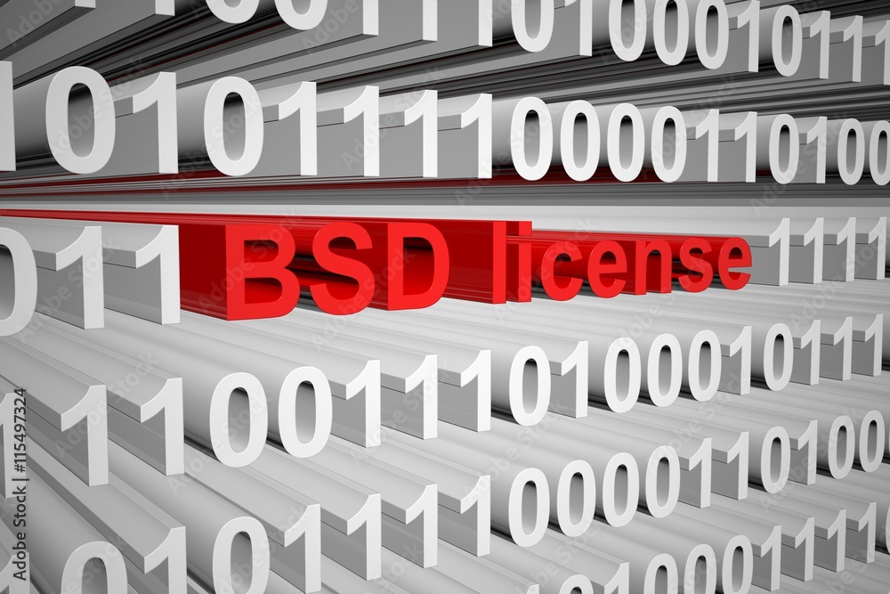 BSD license in the form of binary code, 3D illustration