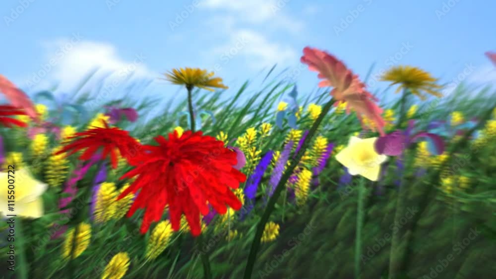 Dance of flowers - HD, loopable
animation background with flowers Dance of flowers - HD, loopable
animation background with flowers