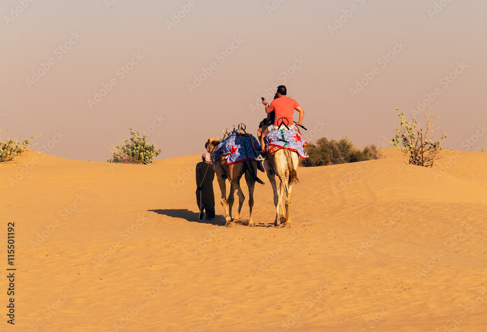 camel safari dunes
