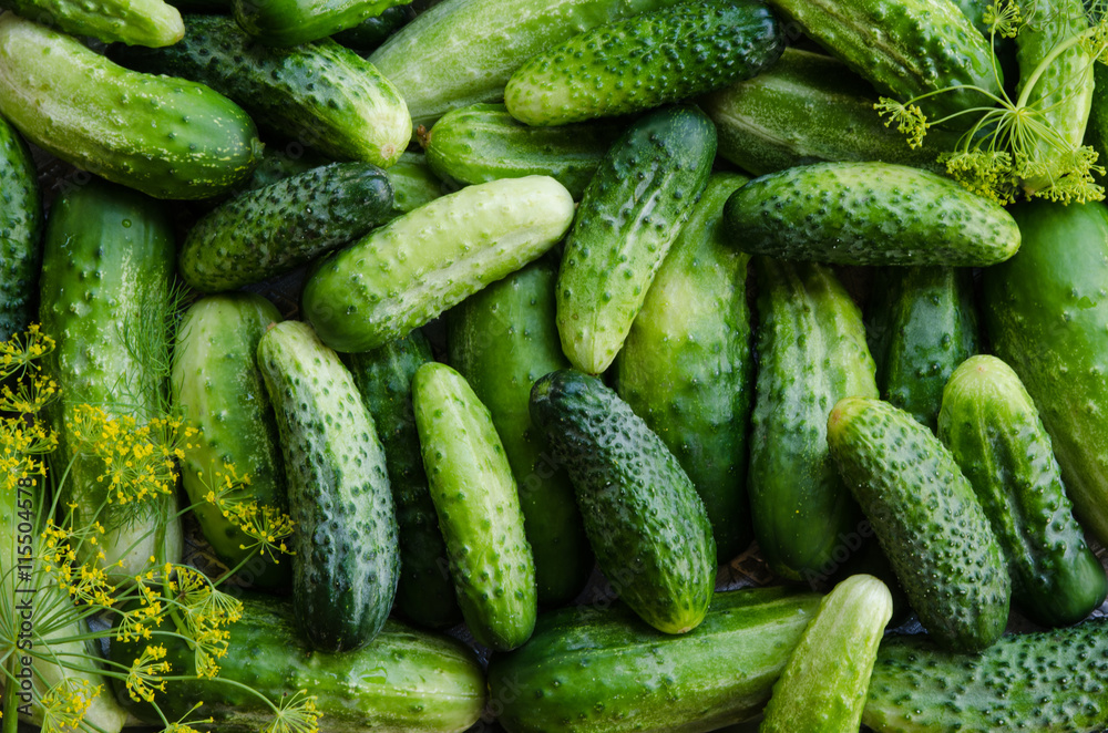 Preserving cucumbers background. Preserving cucumbers background.