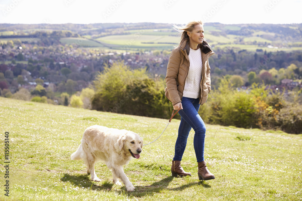 Mature Woman Taking Golden Retriever For Walk In Countryside Mature Woman Taking Golden Retriever For Walk In Countryside