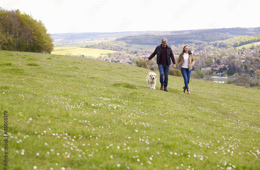 Mature Couple Taking Golden Retriever For Walk