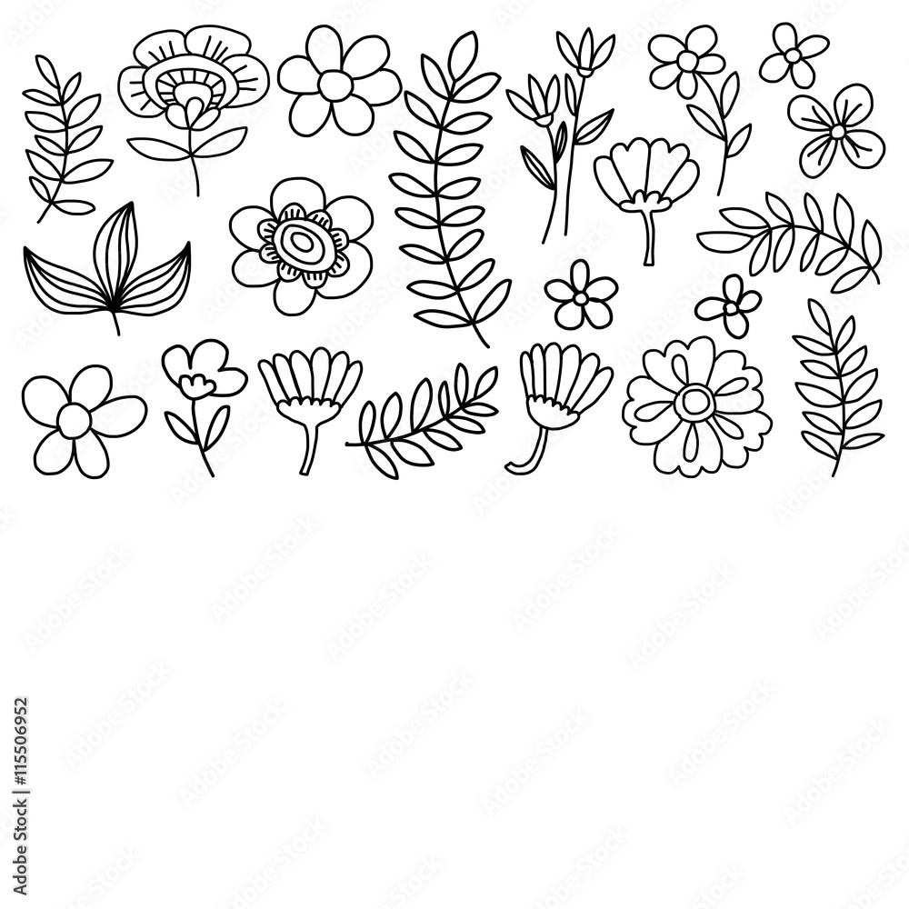Fototapeta premium Vector pattern with flowers Garden Birhday Wedding Postcard