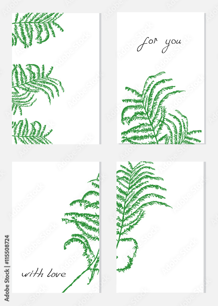 Set of 4 cards with leaf of mimosa, Vector illustration isolated on white background, Designed frame with space for text, Can be used for poster, greeting cards, wedding invitations, cosmetic design