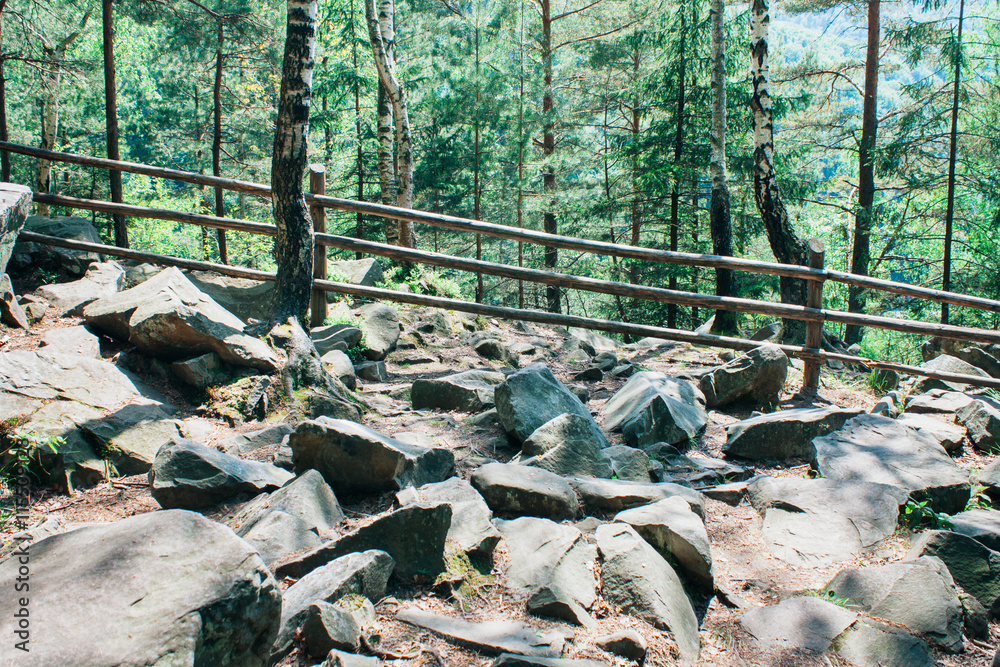 Obraz premium Safe ascent to the mountain