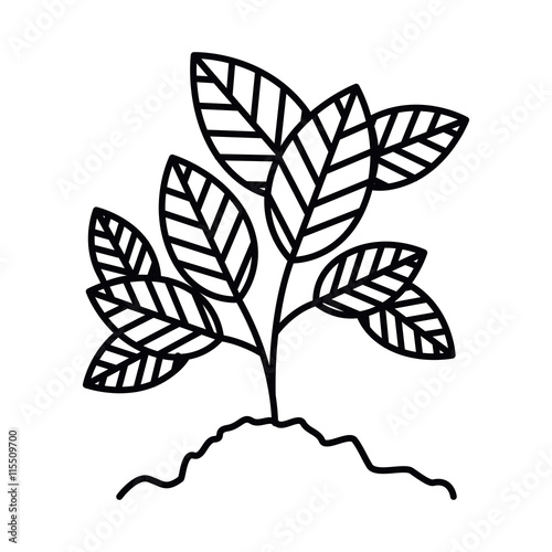 tree branch with leaves isolated icon design