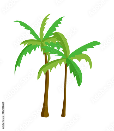 Green palm isolated on white background. Palm isolated vector green palm isolated. Palm isolated green plant nature and tropical palm isolated. Coconut tree stem growth tree.