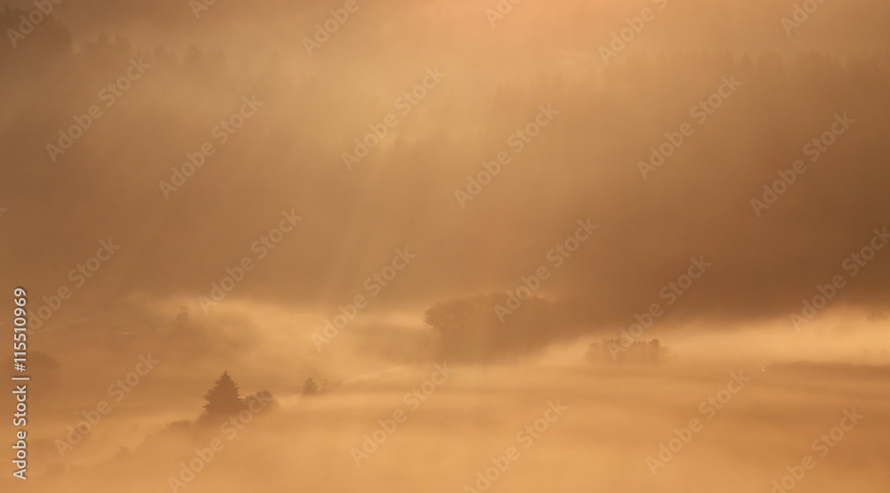 Foggy summer morning in the Alps Foggy summer morning in the Alps
