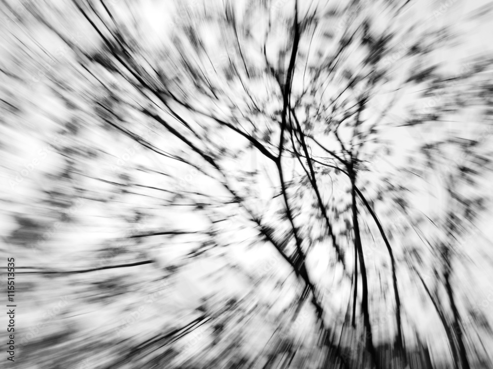 Abstract zoom motion blur background of the lone tree in black and white  Stock Photo | Adobe Stock