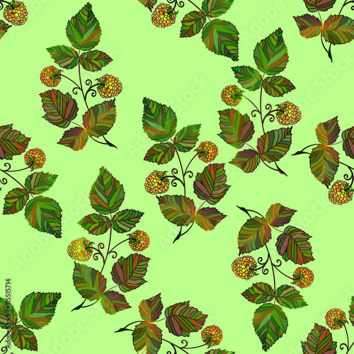 ector colored raspberry pattern