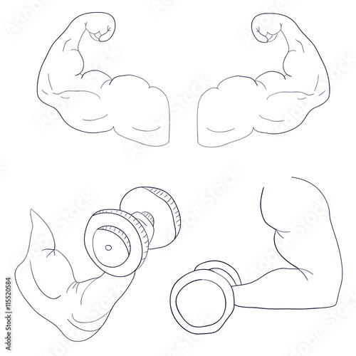 freehand cartoon strong arm flexing bicep sport