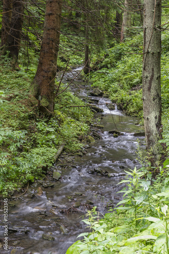 Flowing creek in a forest.