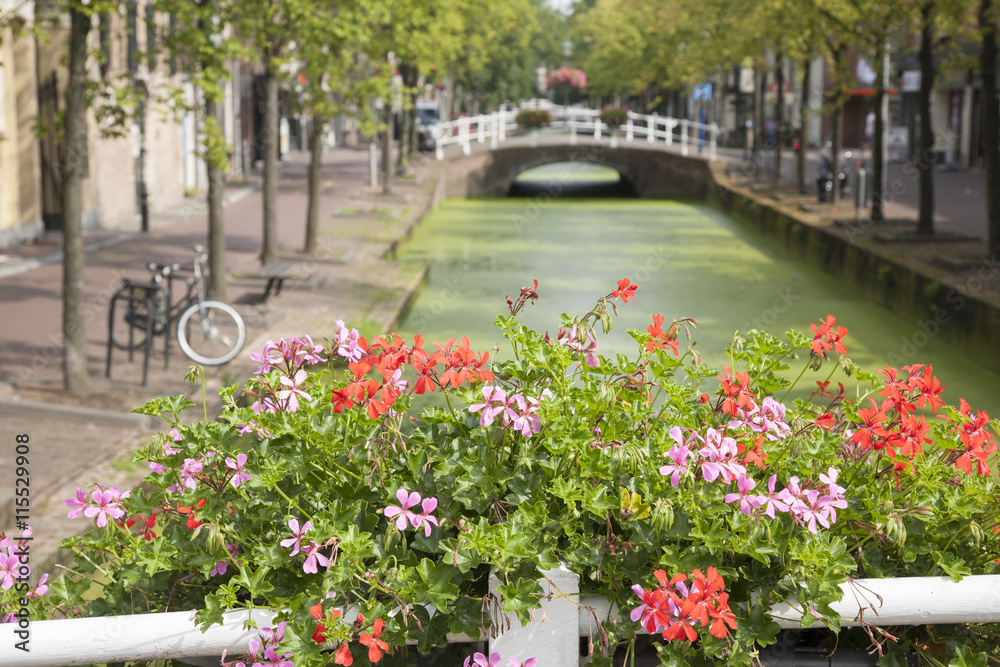 Flowers on Canal Bridge, Delft