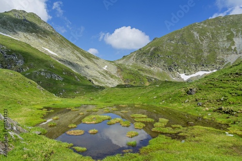 Idyllic summer landscape with mountain lake with floating green grass islands.