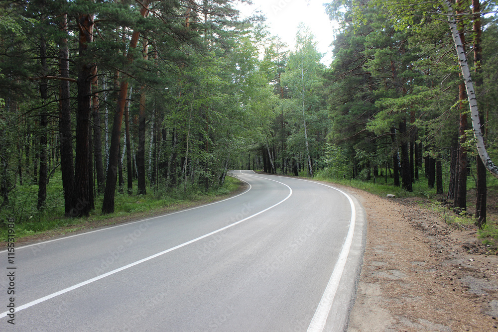 Winding road with a marking in the forest Winding road with a marking in the forest