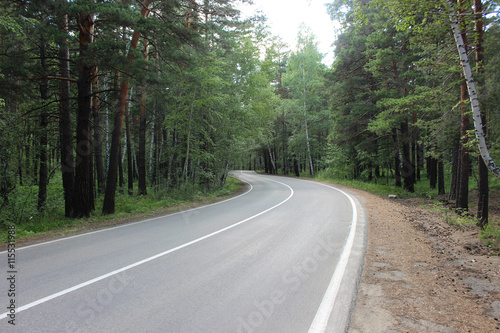 Winding road with a marking in the forest