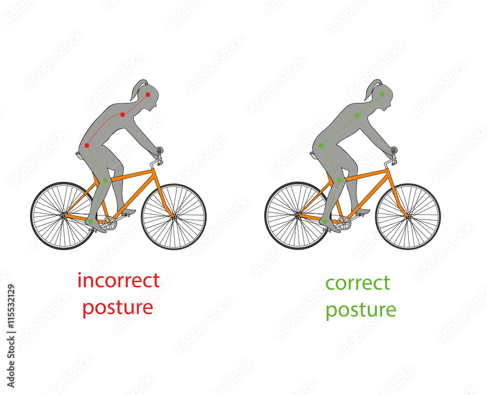 correct posture while riding a bicycle. vector illustration Stock Vector |  Adobe Stock