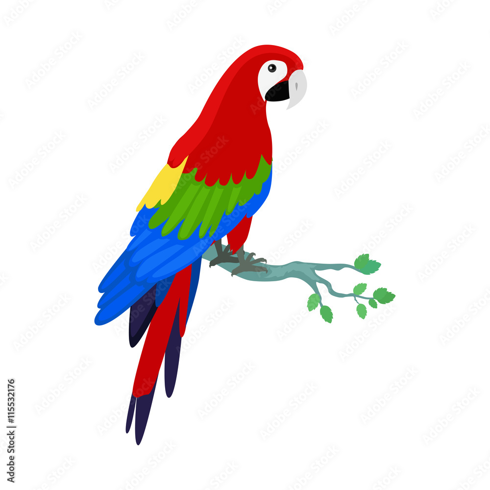 Ara Parrot Flat Design Vector Illustration
